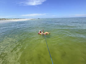A person enjoys a relaxing swim in shallow waters, showcasing the perfect beach day experience under a clear blue sky.