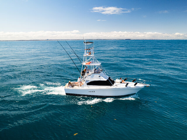 Listing image 1226391
