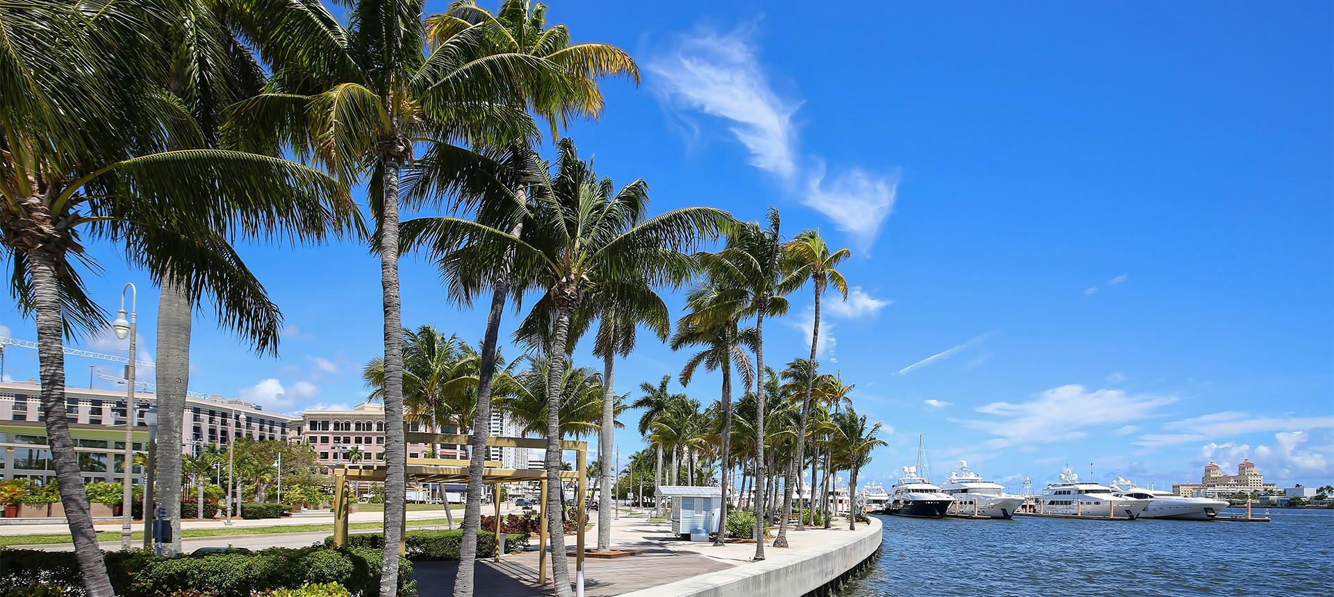 Hero banner