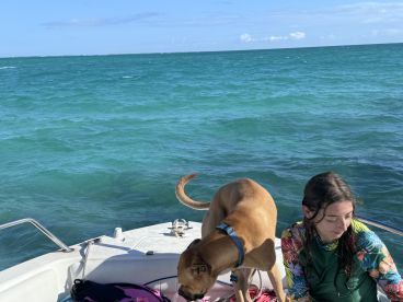 A woman enjoys a sunny day on a boat with her dog, surrounded by beautiful turquoise waters — perfect for a fun day out on the water.