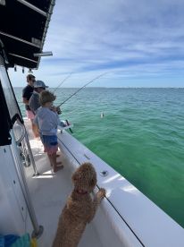 A family enjoys a fishing trip on a boat, with a child and a dog eagerly watching the catch — a perfect day for outdoor adventures on the water.