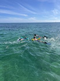 A group of snorkelers enjoys a vibrant underwater adventure in crystal-clear waters, perfect for family outings and aquatic exploration.