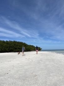 A group walks along a pristine beach with a dog, enjoying the serene coastal scenery — a perfect moment for beach lovers and pet owners.