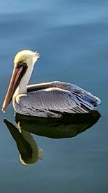 Christmas Eve Sunset Cruise