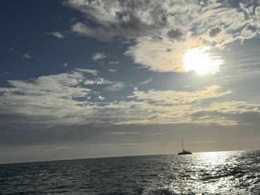 A serene sunset view featuring a catamaran sailing across the shimmering waters, creating a picturesque backdrop for a perfect evening on the sea.