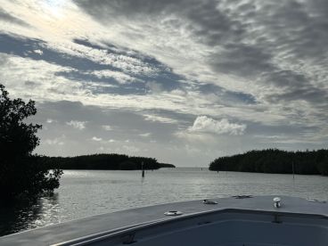 A serene view from the bow of a boat navigating through mangroves, showcasing the tranquil waters and dramatic cloud formations.