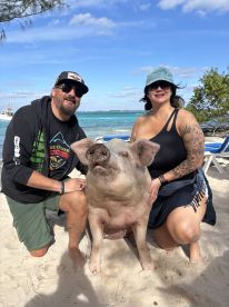 A memorable moment with a friendly pig on the beach, showcasing the unique experience of interacting with wildlife in a tropical setting.