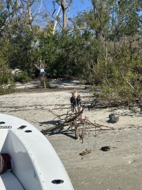 A child explores the beach, gathering sticks for a project while a boat is anchored nearby, capturing the essence of outdoor adventure and family fun.