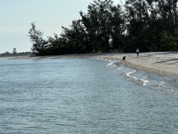 A serene beach scene featuring a person walking a dog along the shoreline, capturing the tranquility of nature and outdoor activities.