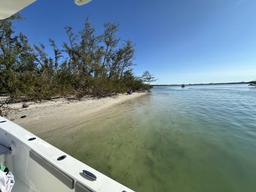 A scenic view from a boat near a sandy beach, showcasing the tranquil waters and lush greenery — perfect for a relaxing day on the water.