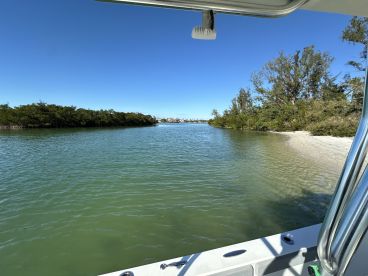 A picturesque view of a serene waterway surrounded by lush mangroves, perfect for exploring the natural beauty of coastal landscapes.