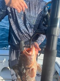 A fisherman proudly displays a freshly caught grouper while out on the water, showcasing the thrill of deep-sea fishing adventures.
