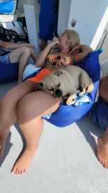A woman relaxes on a boat with her sleeping dog, enjoying a sunny day on the water — a perfect moment of leisure and companionship.