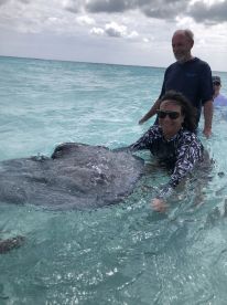 Guests interact with a stingray in shallow turquoise waters, creating a memorable wildlife experience in a tropical paradise.
