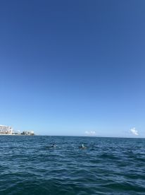 Two swimmers enjoy the clear ocean waters, showcasing a perfect day for aquatic adventures near the beach.
