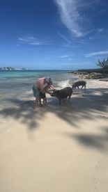 A child and an adult interact with friendly pigs on a sandy beach, showcasing a unique wildlife experience in the Bahamas.