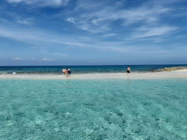 A group of friends enjoys a sunny day at a beautiful sandbar, wading in the crystal-clear waters — a perfect spot for relaxation and fun in the sun.