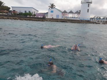 A group enjoys snorkeling in clear waters near a beach, showcasing the fun and adventure of underwater exploration.