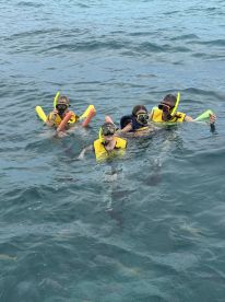 A group of snorkelers enjoys a fun day in the water, equipped with masks and floatation devices, perfect for family adventures and underwater exploration.