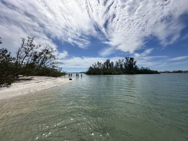 A group of people wades through shallow waters near a sandy beach, surrounded by lush greenery and a picturesque coastline — a perfect scene for a day of exploration and relaxation.