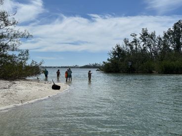 A group of people enjoys a sunny day at a sandbar, wading in shallow waters surrounded by lush greenery — a perfect spot for family fun and relaxation.