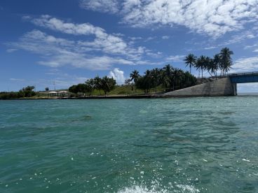 A picturesque view of a lush coastline with palm trees and a bridge, showcasing the serene beauty of the water and sky — perfect for nature lovers and boating enthusiasts.
