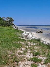 Great day on a nice boat!