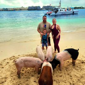 A family interacts with friendly pigs on the beach, creating a memorable wildlife experience in the Bahamas — a must-see for animal lovers.