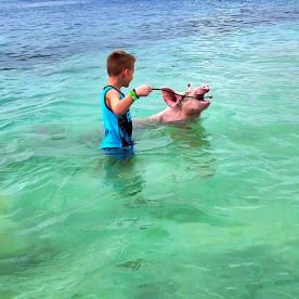 A young boy interacts with a swimming pig in the clear turquoise waters, showcasing a unique wildlife experience in the Bahamas.