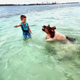 A child interacts with a playful pig in shallow waters, showcasing a unique wildlife experience in the Bahamas — a must-see for animal lovers.
