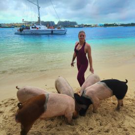 A woman interacts with adorable pigs on the beach, showcasing a unique wildlife experience in the Bahamas — a must-see for animal lovers.