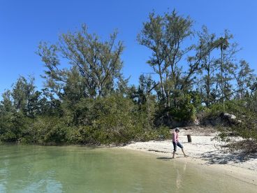 A serene beach scene featuring a person walking along the shore, surrounded by lush greenery and clear waters — a perfect spot for relaxation and nature exploration.