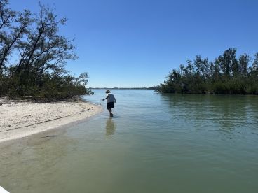 A person wades through shallow waters along a serene beach, surrounded by lush greenery — a perfect scene for nature lovers and explorers.
