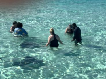Guests interact with stingrays in shallow waters, creating a memorable wildlife experience in a tropical paradise.