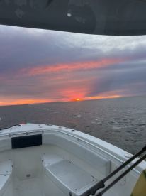 Sight Seeing with Capt Anthony 