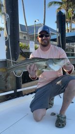 A proud angler displays a freshly caught snook while kneeling on the deck of a boat, showcasing the thrill of fishing adventures.