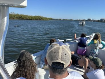 A group of excited guests, including children, watch dolphins from their boat, capturing the thrill of wildlife encounters on the water.