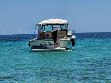A family enjoys a sunny day on the water aboard the 'Misty Dawn,' with one member swimming in the clear turquoise sea — a perfect setting for aquatic adventures.