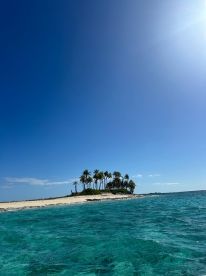A stunning view of a secluded island with palm trees surrounded by crystal-clear waters, perfect for a tropical getaway or island hopping adventure.