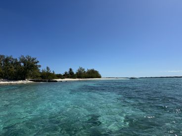 A stunning view of a serene coastline with crystal-clear waters and lush greenery, perfect for showcasing the beauty of island destinations.