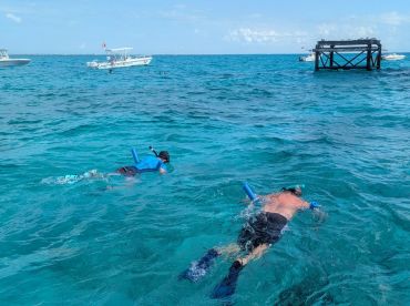 Two snorkelers explore the vibrant underwater world in crystal-clear waters, showcasing the excitement of aquatic adventures.