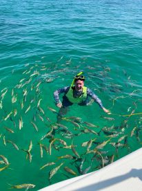 A snorkeler enjoys a vibrant underwater experience surrounded by schools of fish in crystal-clear waters — a perfect moment for marine wildlife enthusiasts.