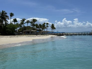 A picturesque view of a tropical beach with a wooden pier and palm trees, perfect for relaxing getaways and scenic boat trips.