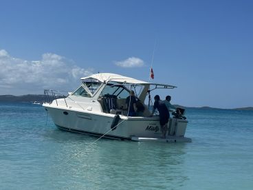 A group of individuals engages in activities aboard a boat in clear turquoise waters, showcasing a vibrant day on the water.