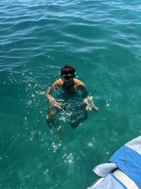 A snorkeler enjoys the vibrant underwater world in crystal-clear waters, perfect for marine exploration and adventure.