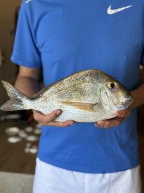 A proud angler holds up a freshly caught fish, showcasing the thrill of fishing adventures on the water.