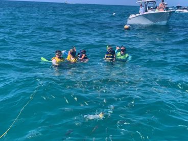 A joyful group of snorkelers enjoys an underwater adventure, surrounded by vibrant marine life — a perfect family outing in crystal-clear waters.