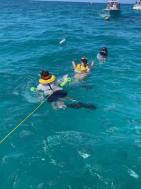 A group of snorkelers enjoys a vibrant underwater experience in the clear blue ocean, showcasing the fun and adventure of aquatic exploration.