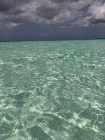 A tranquil view of clear turquoise waters under a cloudy sky, perfect for showcasing the beauty of marine environments.