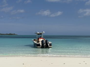 A sleek speedboat is docked in crystal-clear waters, showcasing the perfect setting for a day of adventure on the water.